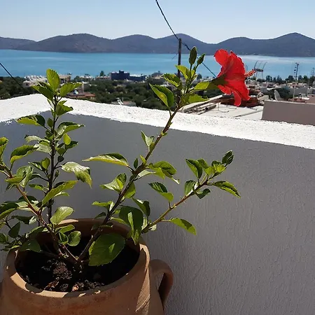 Veranda * Elounda (Crete)